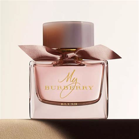 burberry parfum damen dm|Burberry perfume for women discontinued.